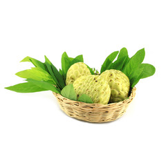 Tree Sugar Apple and leaves in basket
