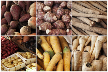 roots vegetables