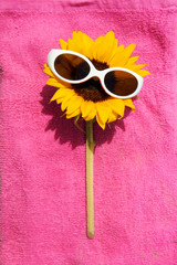 funny sunflower with sunglasses on a towel relaxing - 42913098