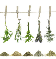 Fresh herbs hanging on a rope