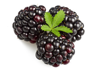 Blackberry with leaves on a white background
