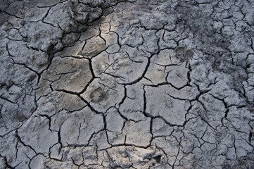 Dry soil texture