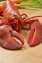Hummer gekocht auf Holzplatte