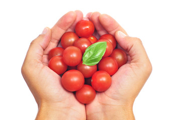 cherry tomatoes