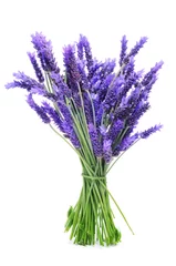 Glasschilderij Lavendel bos lavendel