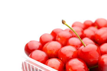 さくらんぼ　たくさん