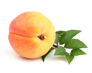 Fresh apricot with leaves
