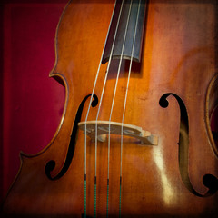 Double-bass