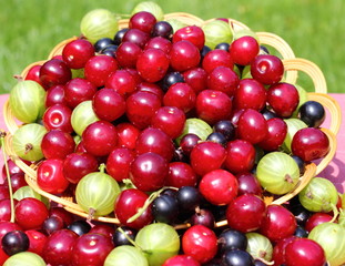 ripe berries