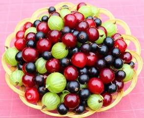 ripe berries