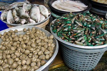 Anadara granosa,Perna viridis,Lates calcarifer,Squid