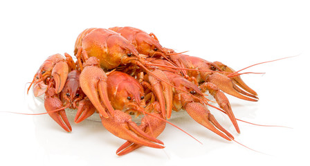 Boiled crawfish on a white background