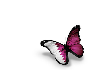 Qatari flag butterfly, isolated on white background