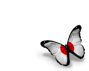 Japanese flag butterfly, isolated on white background
