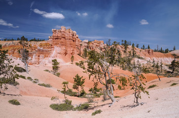 Utah