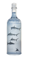shark in a bottle on a white background