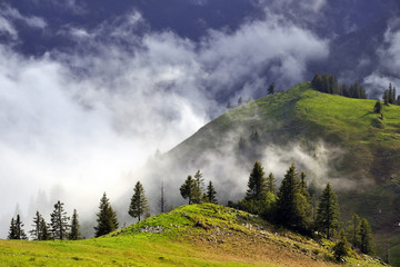 Alm im Nebel