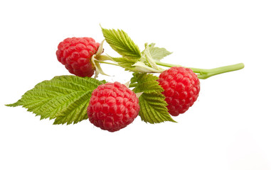 red raspberry