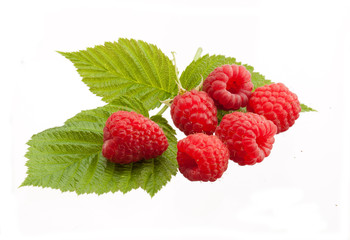 red raspberry