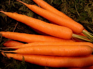 Möhrenbund, Karotten