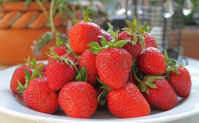 Bio: Frische Erdbeeren aus dem eigenen Garten!
