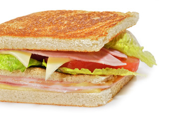 Sandwich sobre fondo blanco.