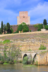 Obraz premium Ciudad Rodrigo 02