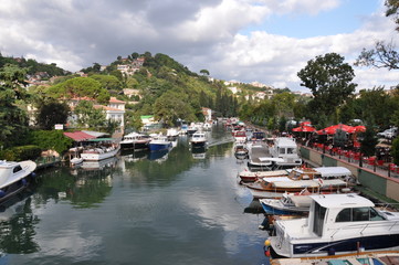 boats