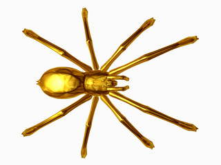 Spider