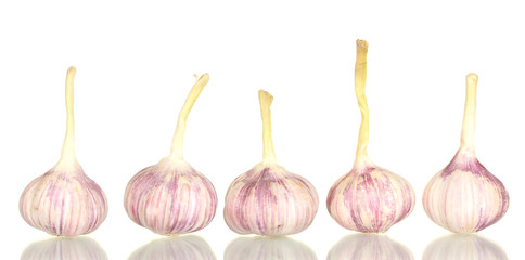 young garlic isolated on white background