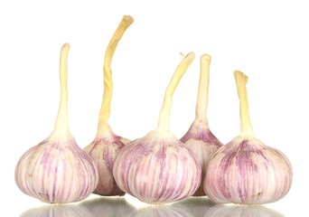 young garlic isolated on white background
