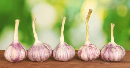 young garlic on wooden table on bright green background