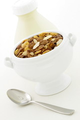 delicious healthy chocolate muesli or granola