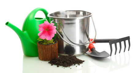 watering can, bucket, tools and plants in flowerpot isolated