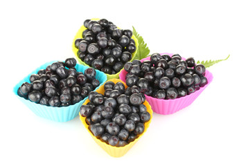 Fresh blueberries in colorful silicone mold isolated on white