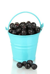 ripe blueberries in blue bucket isolated on white