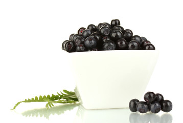 Fresh blueberries in white bowl isolated on white