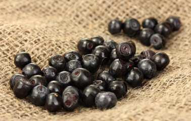 fresh blueberry on canvas background close-up