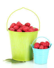 Fresh raspberries in buckets isolated on white