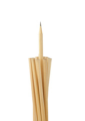 pencils isolated