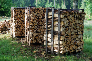 Brennholz