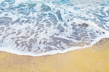 beach and tropical sea