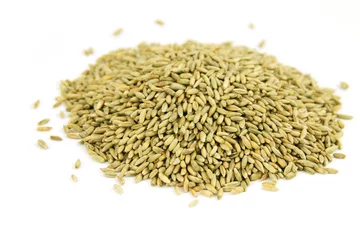 Gordijnen grains of rye © meledyn-kowal