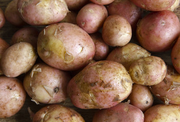 Potato background
