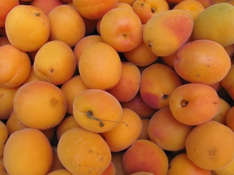 Albaricoques en el mercado. Apricots.