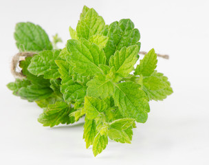 Mint