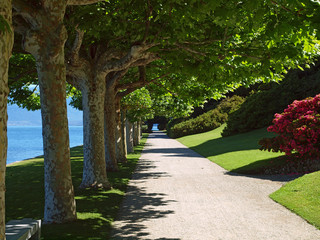 Tranquil path in garden along the shore of lake Como, Italy