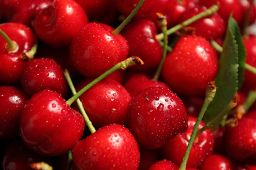Cherrries