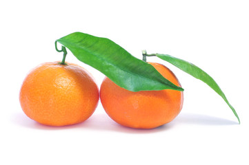 tangerines