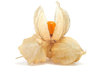 ground cherries